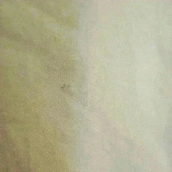 Magellan Men's Button Up Short Sleeve Fishing Shirt XXL Summer Yellow Outdoors - Picture 11 of 11